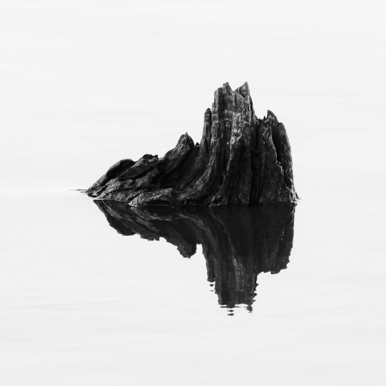 _1000677 _1000677